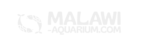 Malawi-Aquarium.com