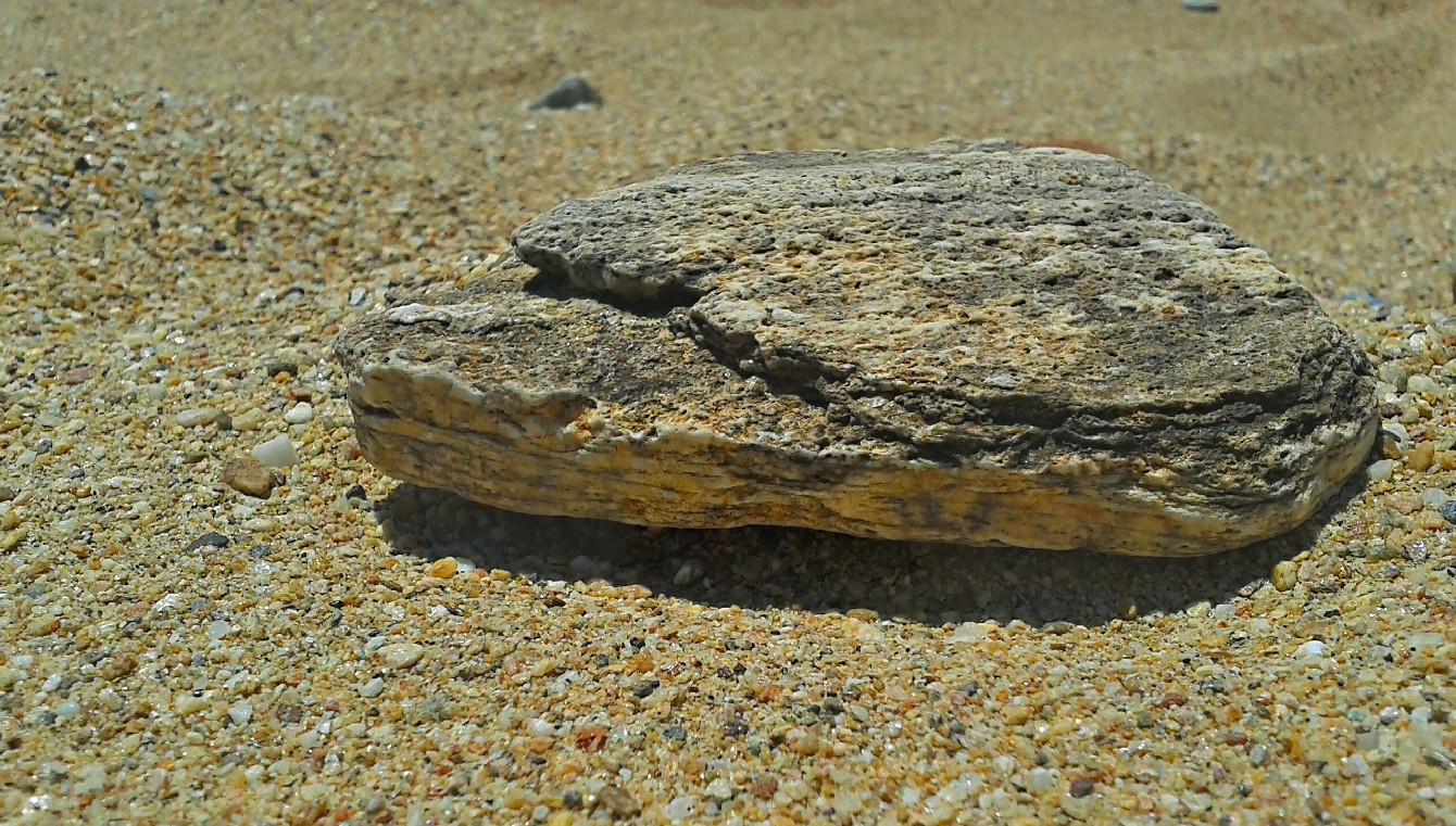 Bodengrund - Sand oder Kies für das Malawi Aquarium?